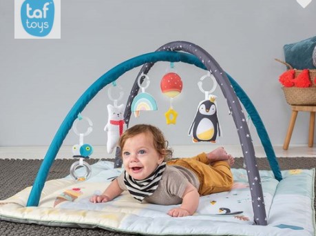 taf-toys-babygym