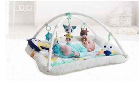 tiny-love-babygym-polar